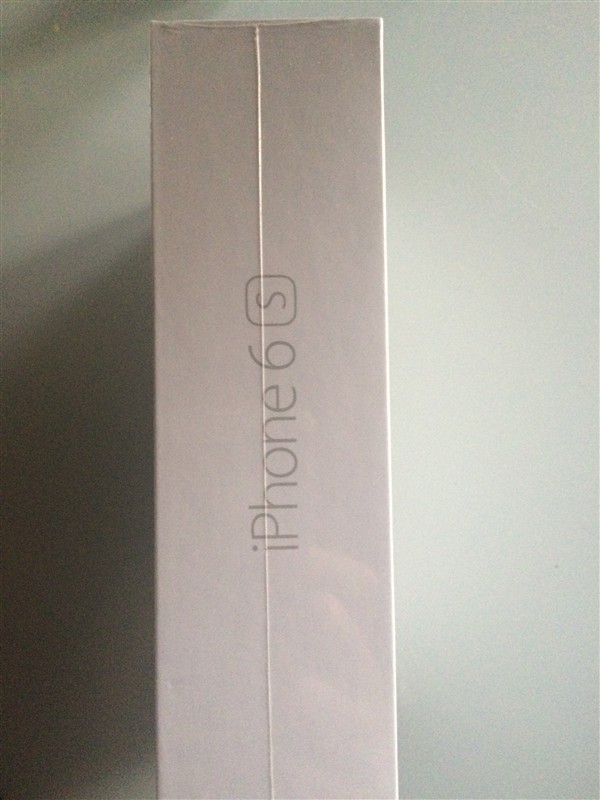 Apple iPhone 6S stbrn 16GB - Fotografie . 2